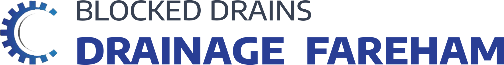 website logo
